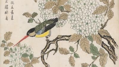 Graphic Chinese print of a Kingfisher with a yellow belly and long orange beak perched on a branch between a flourish of foliage and hydrangea flowers. Two columns of Chinese characters have been written on the top left corner of the print.