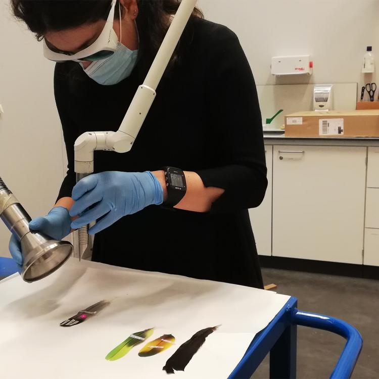 Scientist using a laser cleaning feathers lined out on a white sheet of paper.