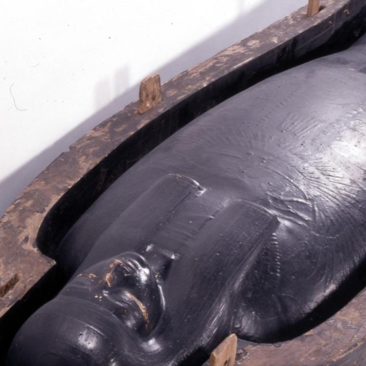 Close up of mummy in cartonnage and open wooden coffin