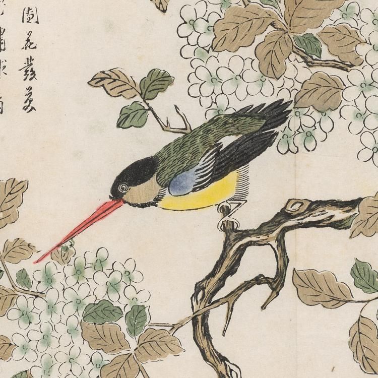 Graphic Chinese print of a Kingfisher with a yellow belly and long orange beak perched on a branch between a flourish of foliage and hydrangea flowers. Two columns of Chinese characters have been written on the top left corner of the print.