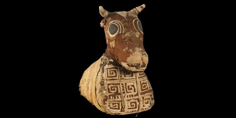 Mummified bullock, linen wrappings (geometric pattern on chest) with false eyes.