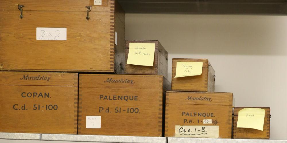 Glass plate negative boxes on a shelf