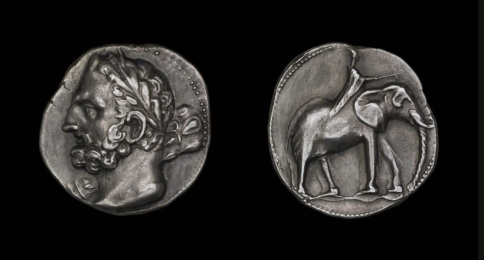 The Punic (Carthaginian) god Melqart is shown on the obverse (front) of the coin. He is depicted resembling the Greek hero Herakles with a club over his shoulder. On the reverse is a war elephant, as used by Hannibal in his great campaign against Rome.