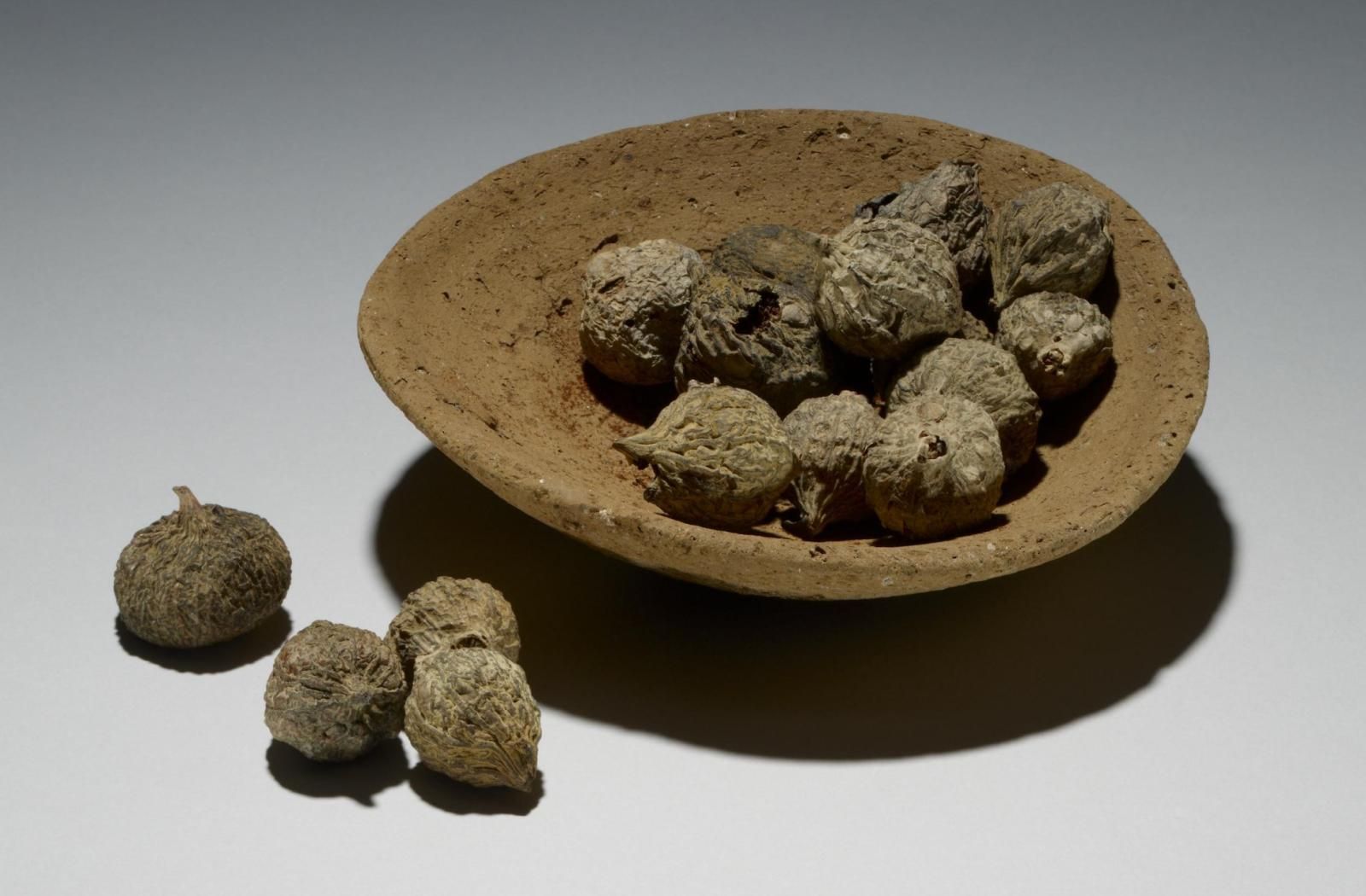 Small shallow dish, hand-modelled in Nile silt clay, filled with figs